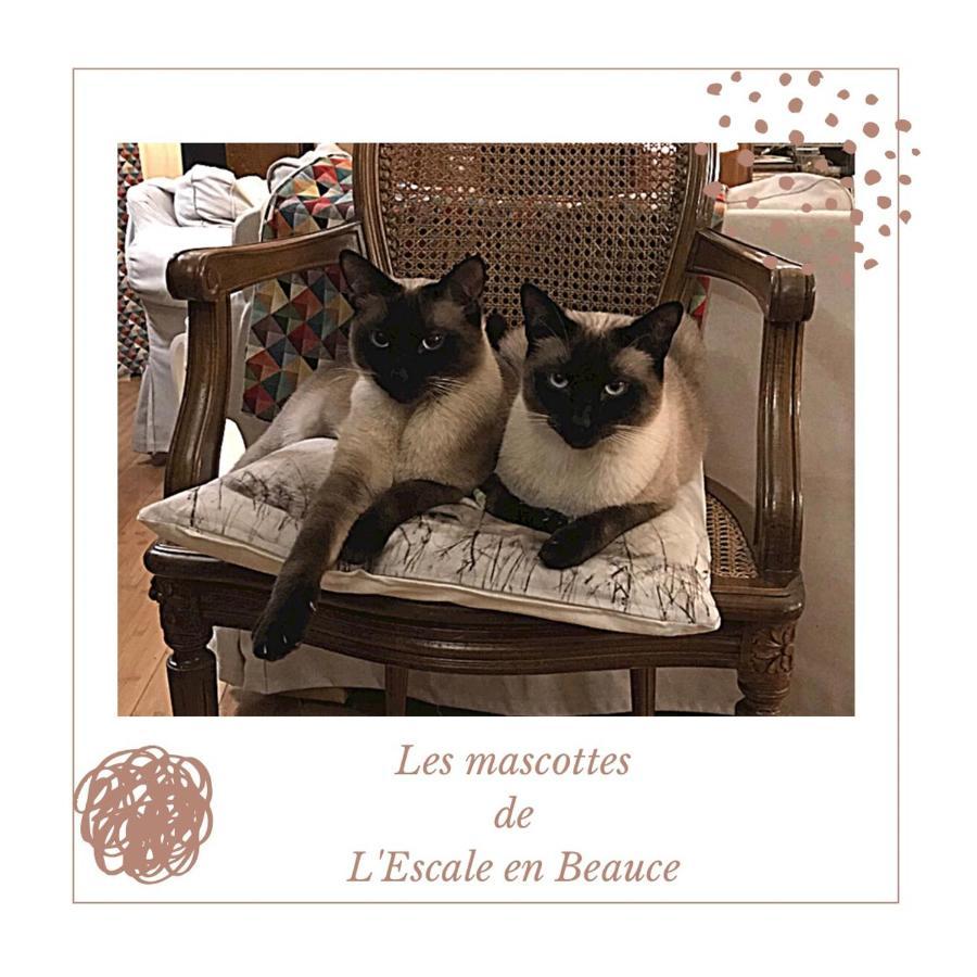 Bed and Breakfast L Escale En Beauce Maisons  Exteriér fotografie